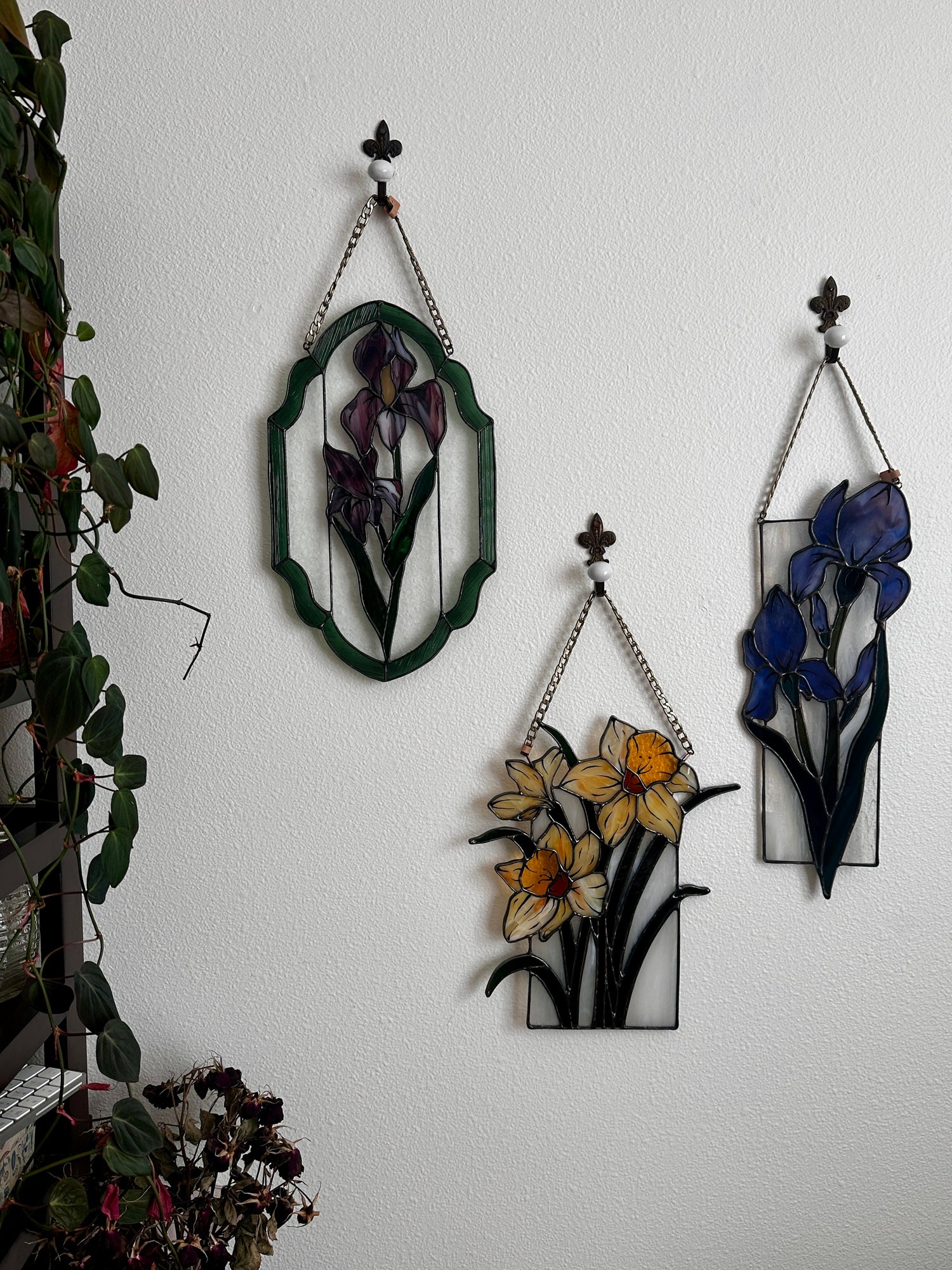 Everlasting Flowers