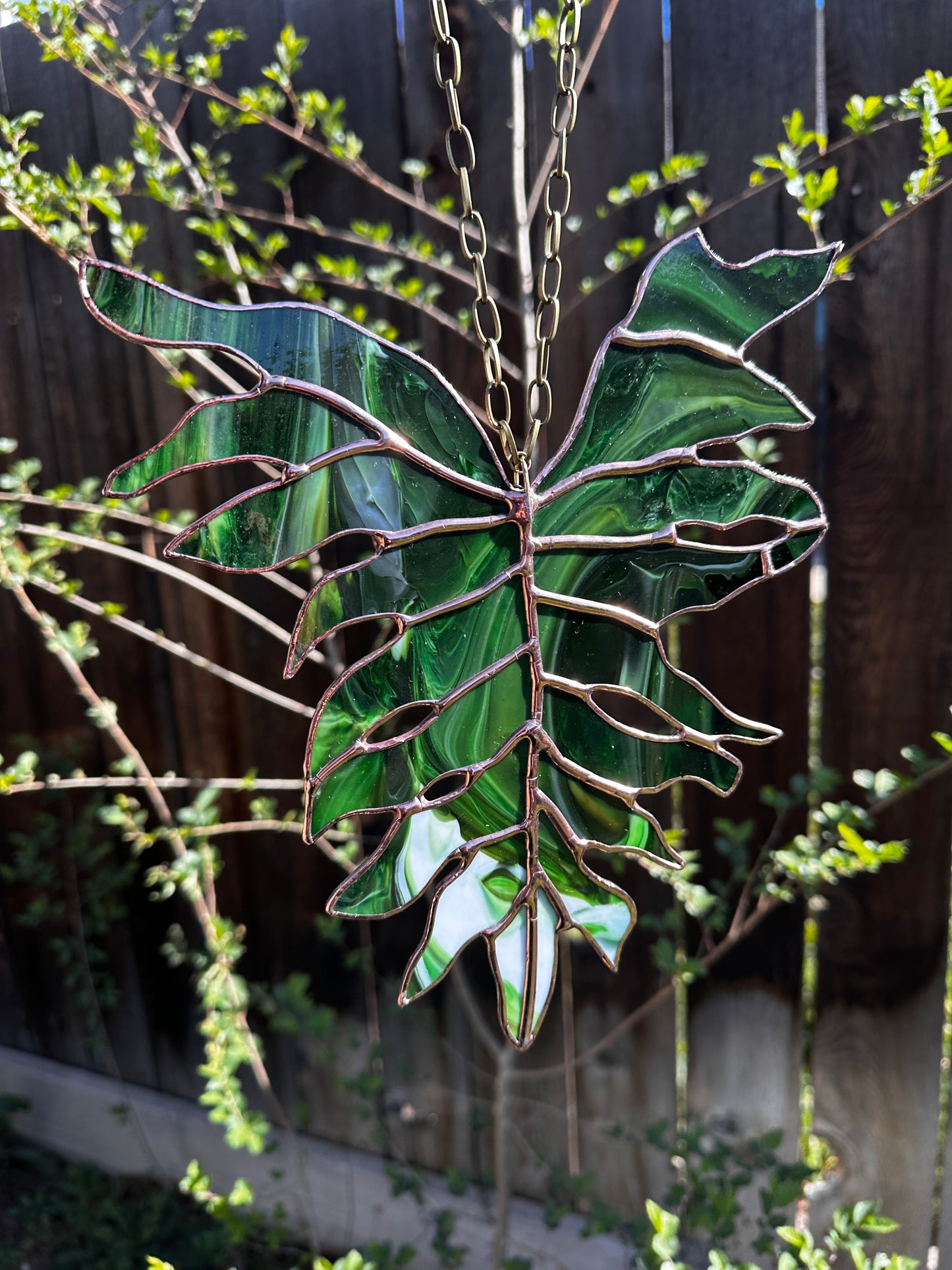 In Transition - Stained Glass Philodendron Selloum Botanical Leaf Sun Catcher