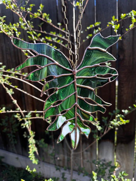 In Transition - Stained Glass Philodendron Selloum Botanical Leaf Sun Catcher